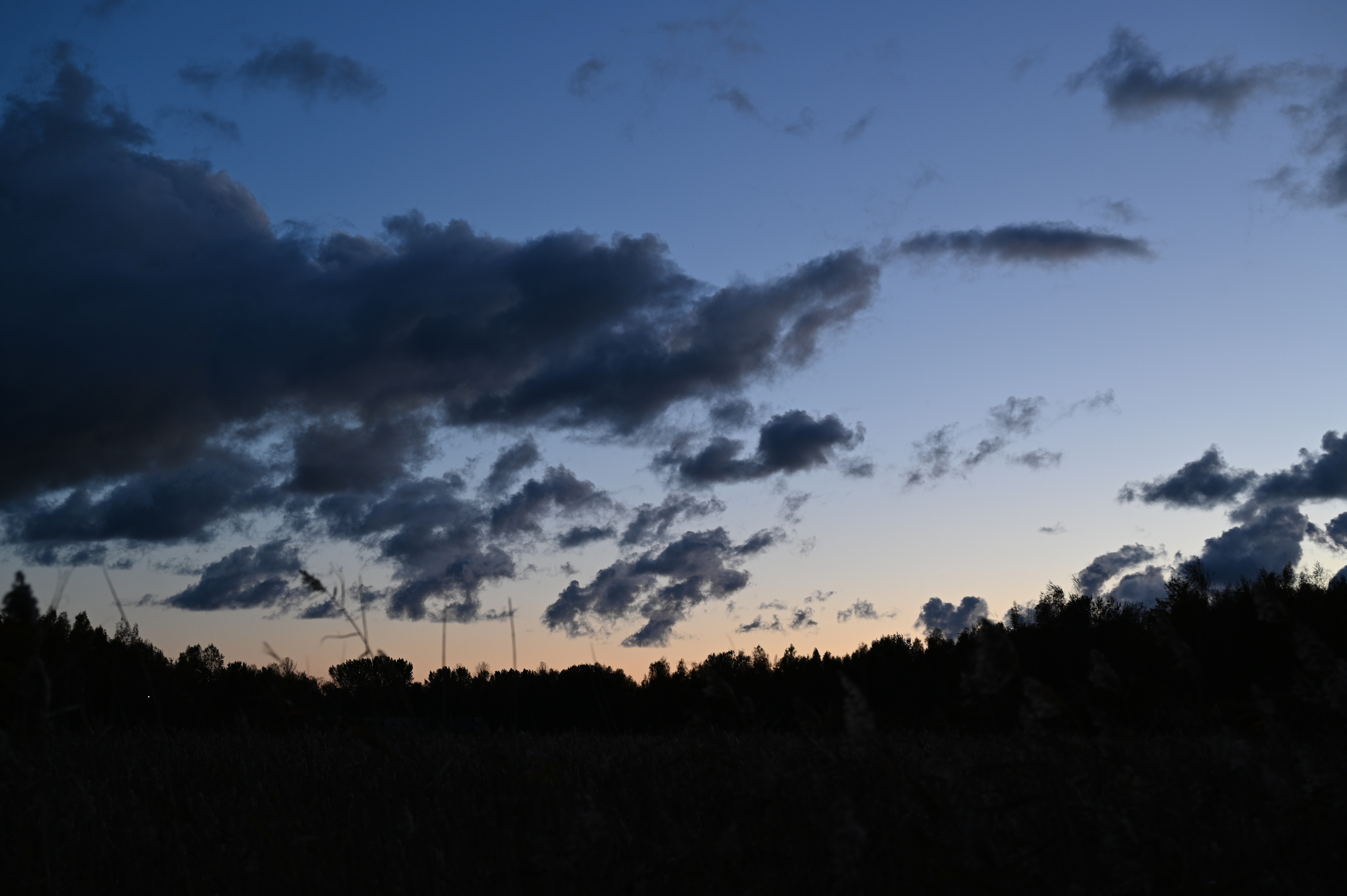 2025/10/18 - walk/DSC_0618.JPG